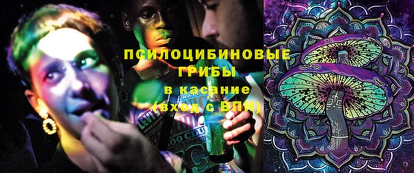 шишки Балахна