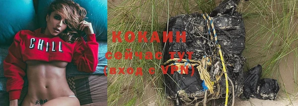 шишки Балахна
