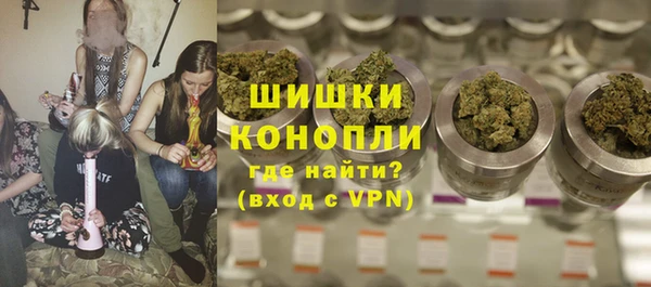 шишки Балахна