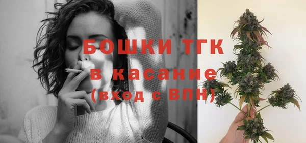 шишки Балахна