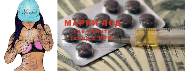 шишки Балахна
