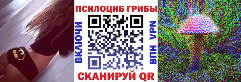 Купить закладки  Трубчевск  Псилоцибиновые грибы Magic Shrooms 